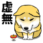 え、どうした!?柴犬