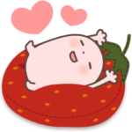 大人可愛いいちごましゅまろさん