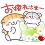 仲良し猫ハム❤挨拶