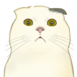 日常の宝箱❤️モフ猫連合❤️猫の日Ver.