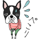 mottoのボステリの毎日♡ベーシック