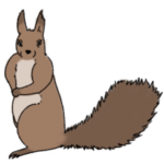 かっこいいエゾリス