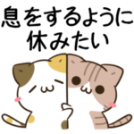 毎日五月病なねこたち15