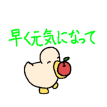 お見舞い あひるさん