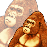 ゴリラです。10