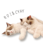 ROI&CHAY 2匹のゆるゆるにゃんこスタンプ