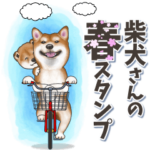 柴犬さんの春スタンプ