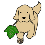 ゴールデンドッグ11（毎日使える日常編）