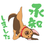 シェパードでございます。（ヨガ）