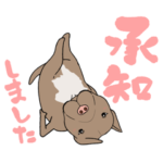 ピットブルでございます。