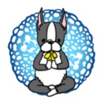 ボストンテリアさん