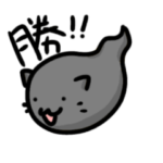 まりねこのスローライフ