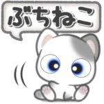 青い瞳のぶちねこ