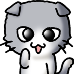 猫ねこ　スコティッシュフォールド　その1