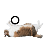 駅裏のアイツにゃ