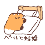 眠い狐狐