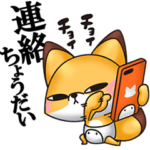 きつめきつね9（連絡編）