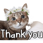 猫のすたんぷ。。。３