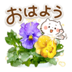 ほんわかさんNo.3５