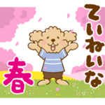 トイプーのぷう太郎 ていねいな春