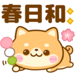 豆柴♡春日和