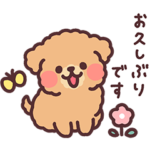ふわふわもこもこトイプードル 敬語！