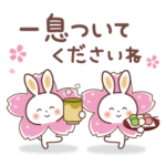 桜 うさぎ