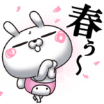 ひとえうさぎ66