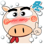 毎日、ブタさん　冬　ポップでカラフル