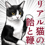 意外と使えるリアル猫の飴と鞭スタンプ
