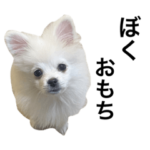 ぼくはおもち➀