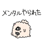 かわちぃのにメンタルやられているポメ