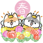 ほんわかしばいぬ<2023春>