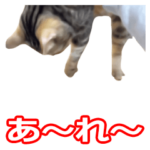 ちゃマイミースタンプ「おもしろパック」