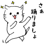 おばあちゃんネコの日常