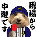 飛び出す!野球実況犬のマルちゃん(実写）