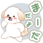 飛び出す! ふわもこりん