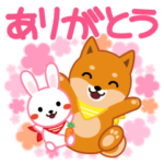 柴犬「ムサシ」４４　春４