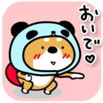 柴犬パンダ。（青）