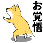 え、どうした!?柴犬 3