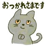 きちんとしてるねこ