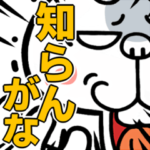 激しく飛び出す！煽りうさぎ☆