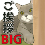 ご挨拶の宝箱❤️モフ猫連合❤️Bigサイズ