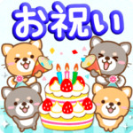 大人のためのお祝い！ありがとう♪誕生日☆