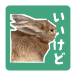 スーパーラブリーハイパーキュートうさぎ達