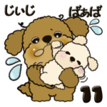 プードル犬 11『じぃじ＆ばぁば』