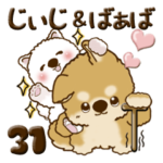 柴犬 ちゃちゃ丸たち 31『じぃじ＆ばぁば』