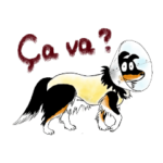 あっちゃんとリカの日誌8フランス語