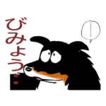 あっちゃんとリカの日誌no.6シェルティー