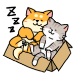 柴犬むちと猫のふくにゃん